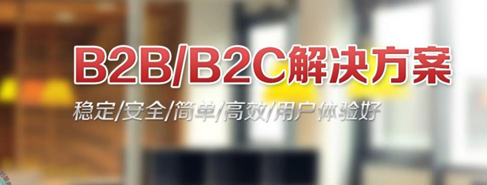 电子商务平台网站开发